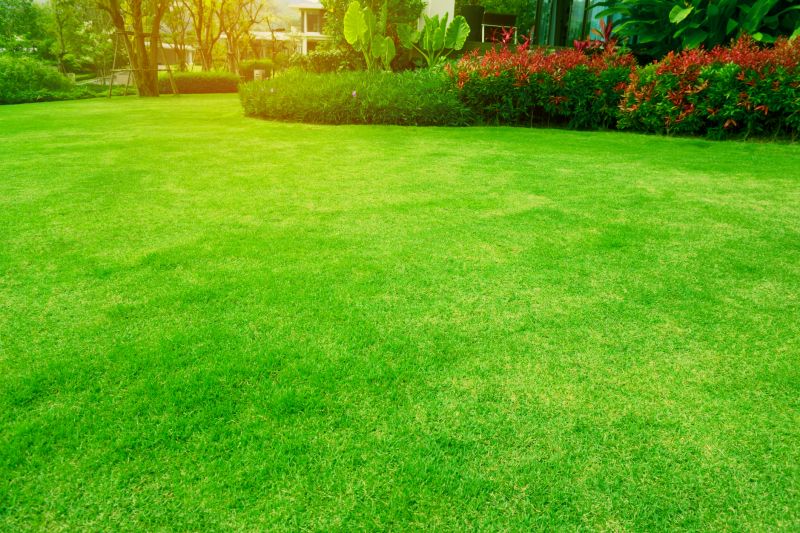 Completed Lawn Care