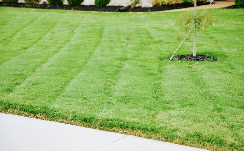 Lawn Trimming