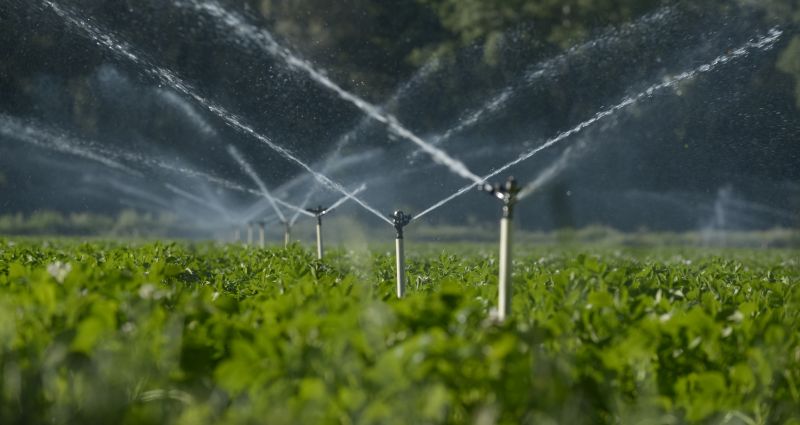 Irrigation System Checks